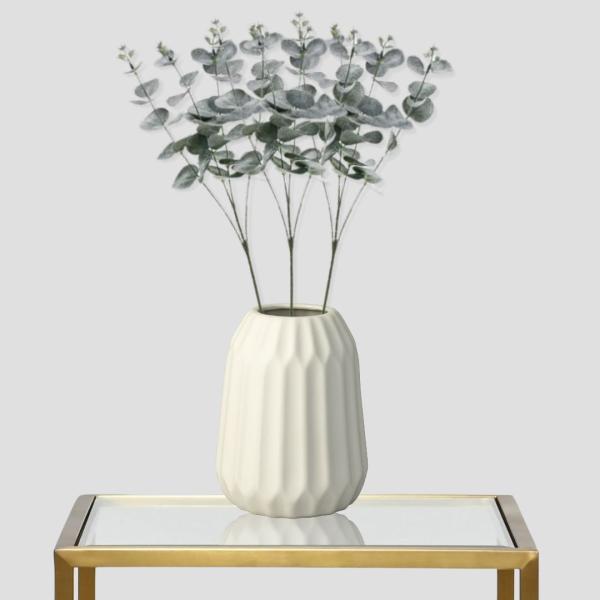 Eucalyptus_Tak___1st