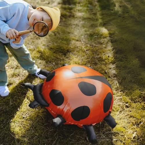 Folieballon_Ladybug_2