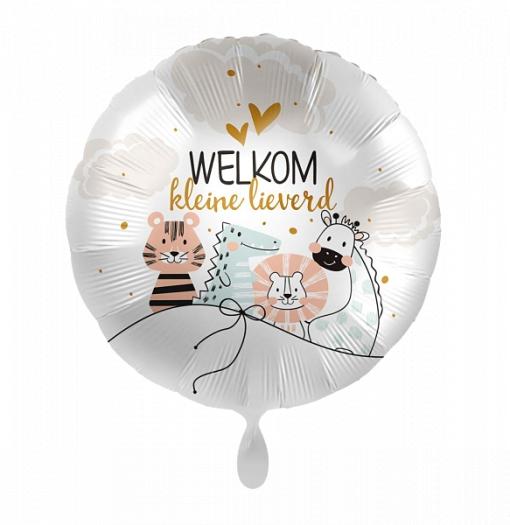 Folieballon_Welkom_Kleine_Lieverd__43cm_