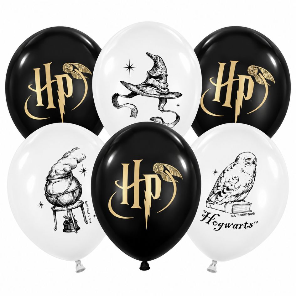 Harry_Potter_Ballonnen___6st