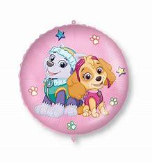 Paw_Patrol_Sky_Folieballon___46cm_1