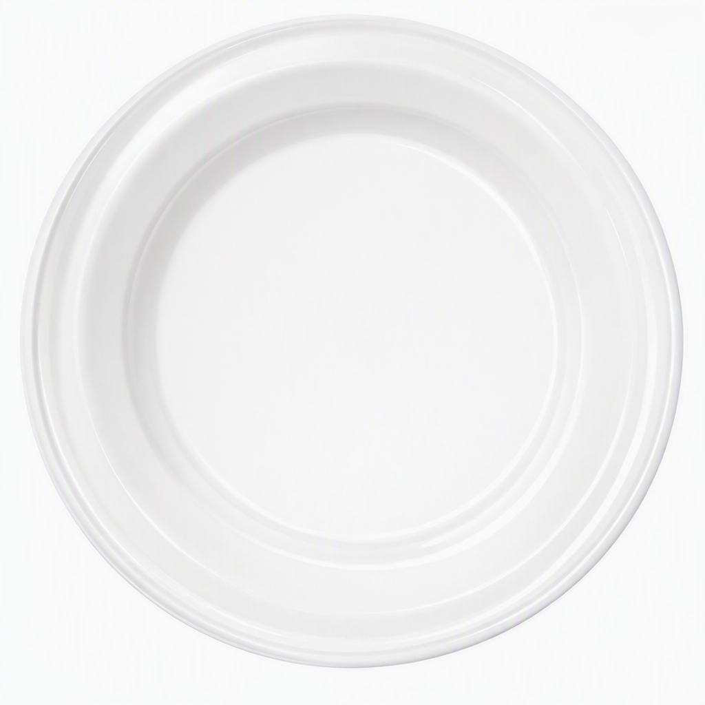 Plastic_Borden_22cm_wit___50st