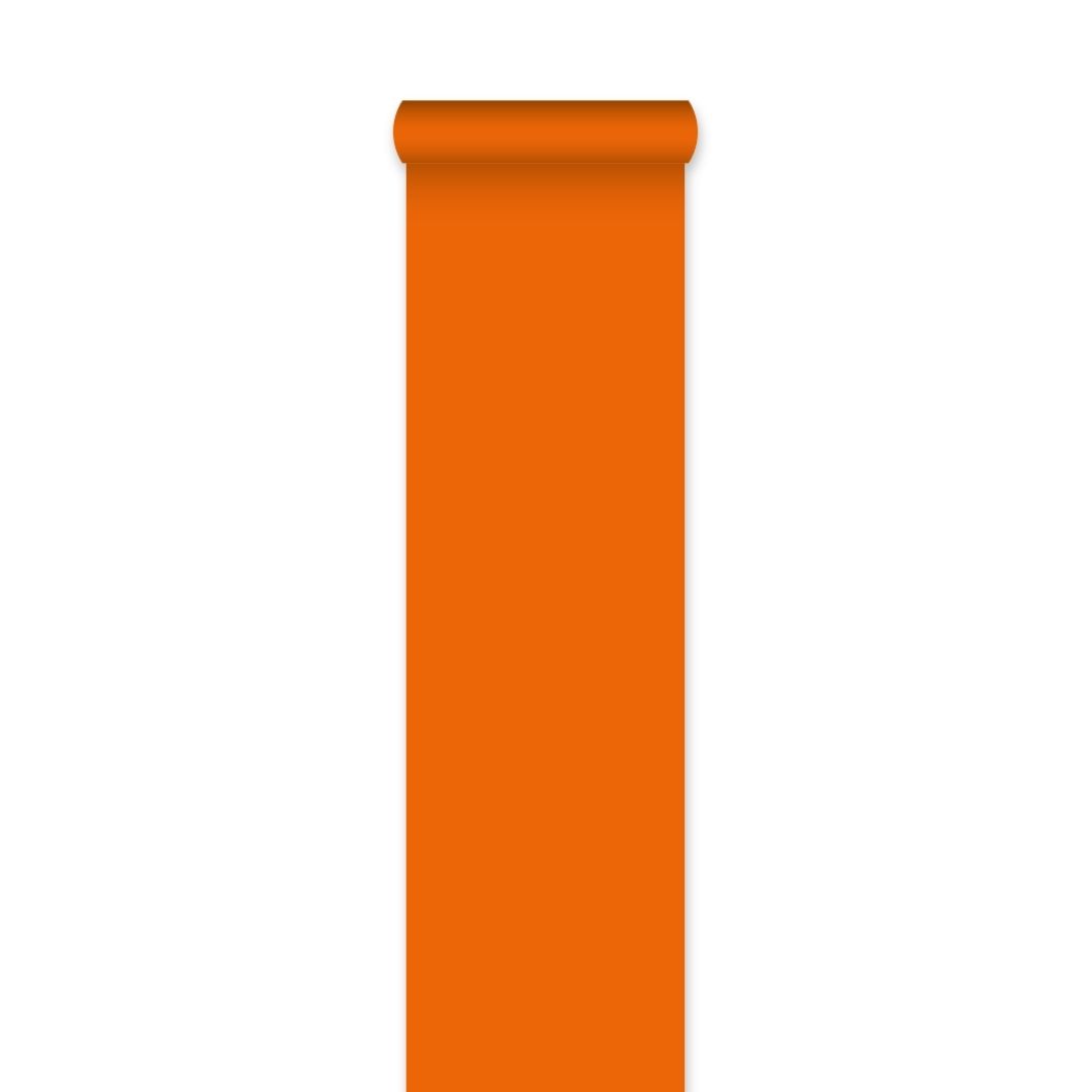 _Loper_Oranje___450cm__L__