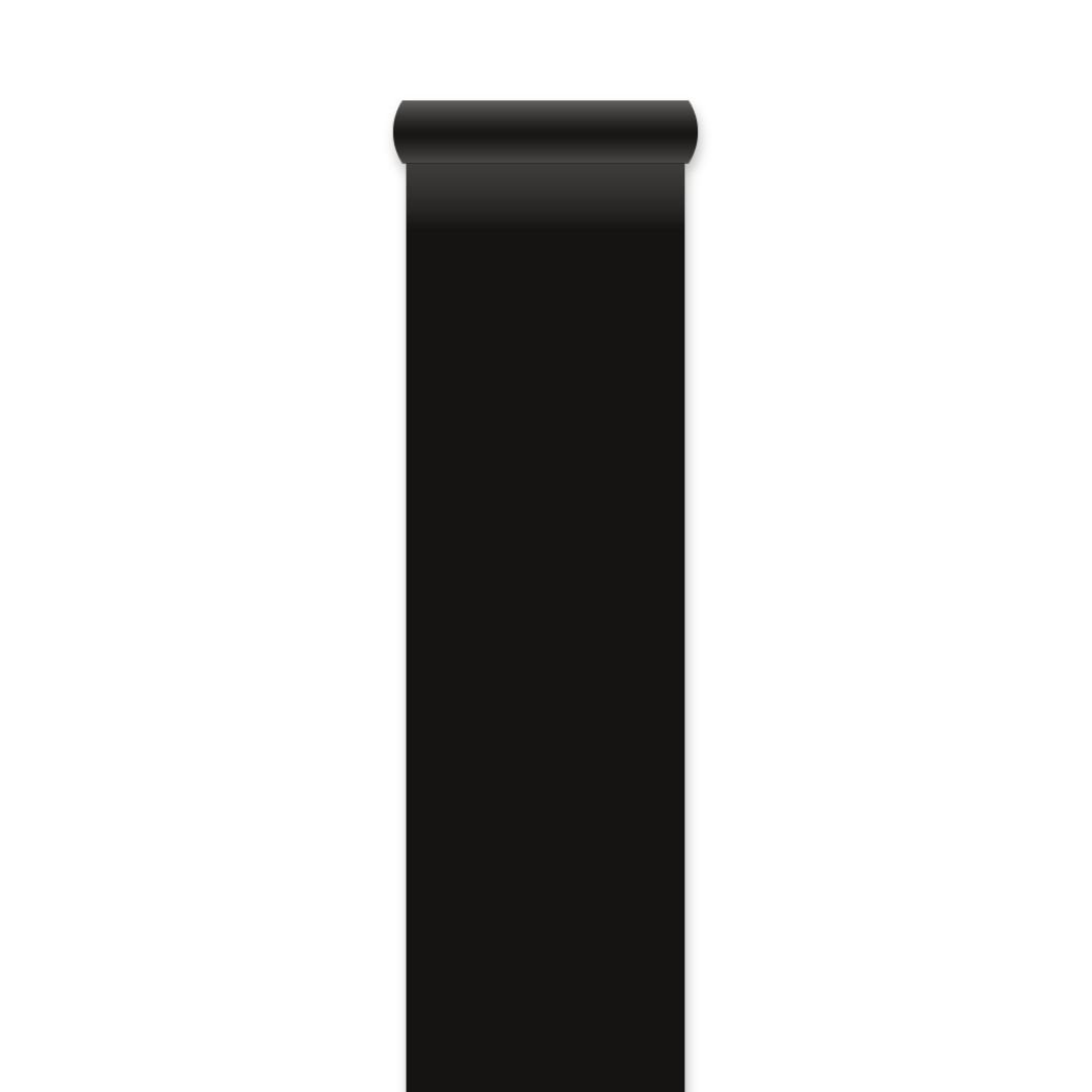 _Loper_Zwart___450cm__L__