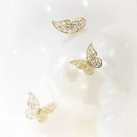 3D_Vlinders_Goud___12st_4