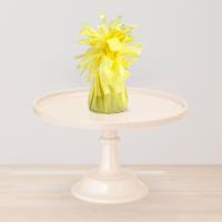 Ballongewicht_Geel_1