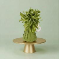 Ballongewicht_Olijf_Groen_1