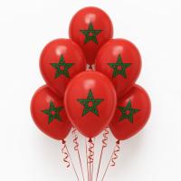 Ballonnen_Marokko_35cm___10st_1