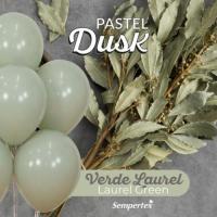 Ballonnen_Pastel_Dusk_Laurel_Green_30cm___50st