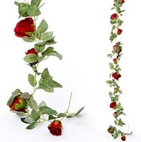 Bloemenslinger_Rode_Rozen