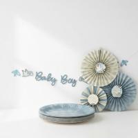 Blooming_Baby_Boy_Borden__23cm___8st