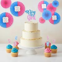 Boy_or_Girl_Prikkers___20st