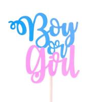 Boy_or_Girl_Taarttopper