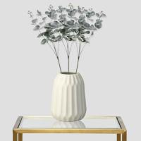 Eucalyptus_Tak___1st
