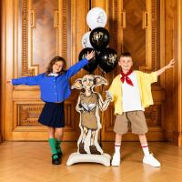 Folieballon_Harry_Potter_Dobby___105cm__1