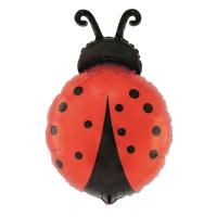 Folieballon_Ladybug_3