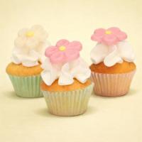 FunCakes_Fondant_Decoraties_Madeliefjes_Wit_Roze_set_12