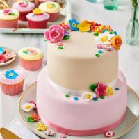 FunCakes_Fondant_Elegant_Ivory___250_gram