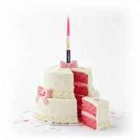 Gender_Reveal_IJsfontein_Roze___2st_3