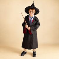 Harry_Potter_Toverstaf_1