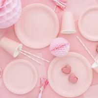 Kartonnen_Borden_18cm_Lichtroze___6st_1