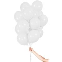Latex_Ballonnen_Mix_31cm___10st