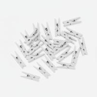 Mini_Knijpertjes__Wit_