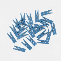 Mini_Knijpertjes___Lichtblauw__1