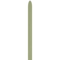Modelleer_Ballonnen_Fashion_Eucalyptus___50st