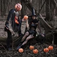 Netpanty_Spinnen_1