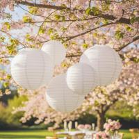 Papieren_Lampions__5st___Gingerray