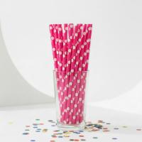 Papieren_Rietjes_Hot_Pink_Dots__24st_2