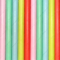 Papieren_Rietjes_Pastel__250st_1
