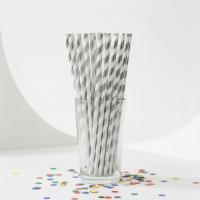 Papieren_Rietjes_Zilver_Spiraal__20st_2