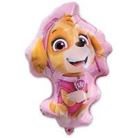 Paw_Patrol_Folieballon_Sky