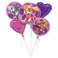 Paw_Patrol_Skye_Folieballon_Boeket__5_dlg_