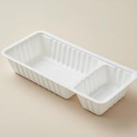 Plastic_Bakken_A9_met_Sausvak___25st_1