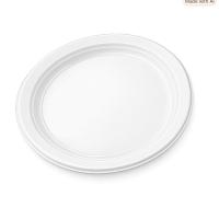 Plastic_Borden_17cm_wit___33st