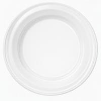 Plastic_Borden_22cm_wit___50st