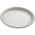 Plastic_Borden_Wit_17cm___100st