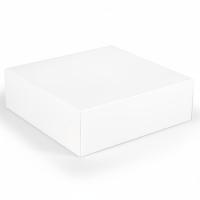 Taartdoos_Wit___25cm_1