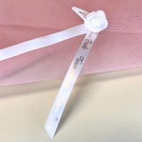 Team_Bride__Haarspeldjes___6st_2