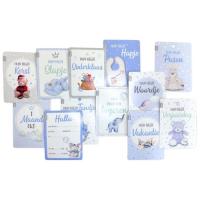 VIB_Mijn_Eerste_Jaar_Baby_Moment_Kaarten_Blauw__12dlg_1