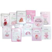 VIB_Mijn_Eerste_Jaar_Baby_Moment_Kaarten_Roze__12dlg_1