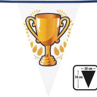 Vlaggenlijn_Champions___6m