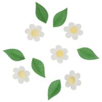 Wilton_Eetbare_Papieren_Decoraties_Bloemen___Bladeren_Wit_set_11