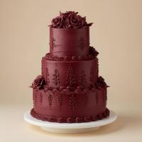 Wilton_Icing_Color___Burgundy___28_gram_3