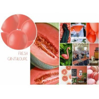 XL_Ballon_Fresh_Cantaloupe__78cm__1