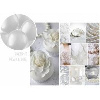 XL_Ballon_Radiant_Pearl_White_Metallic_1