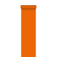 _Loper_Oranje___450cm__L__
